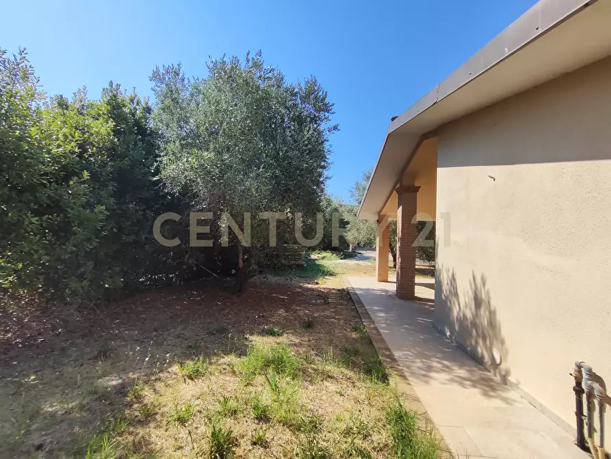 Immagine 4 di Casa bifamiliare in vendita  in Via san martino snc a Castiglione Della Pescaia