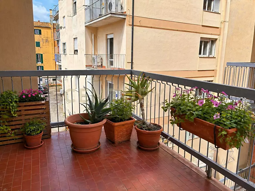 Immagine 3 di Quadrilocale in vendita  in Via Ruggero Piro 17 a Orbetello