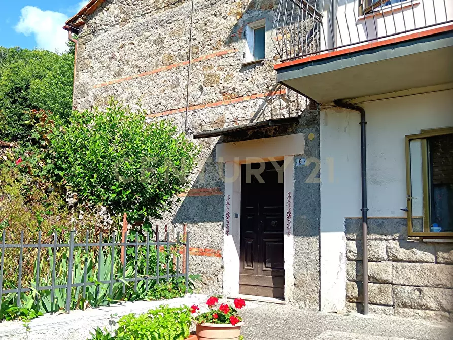 Immagine 6 di Rustico / casale in vendita  in Via Esasseta 6 a Abbadia San Salvatore