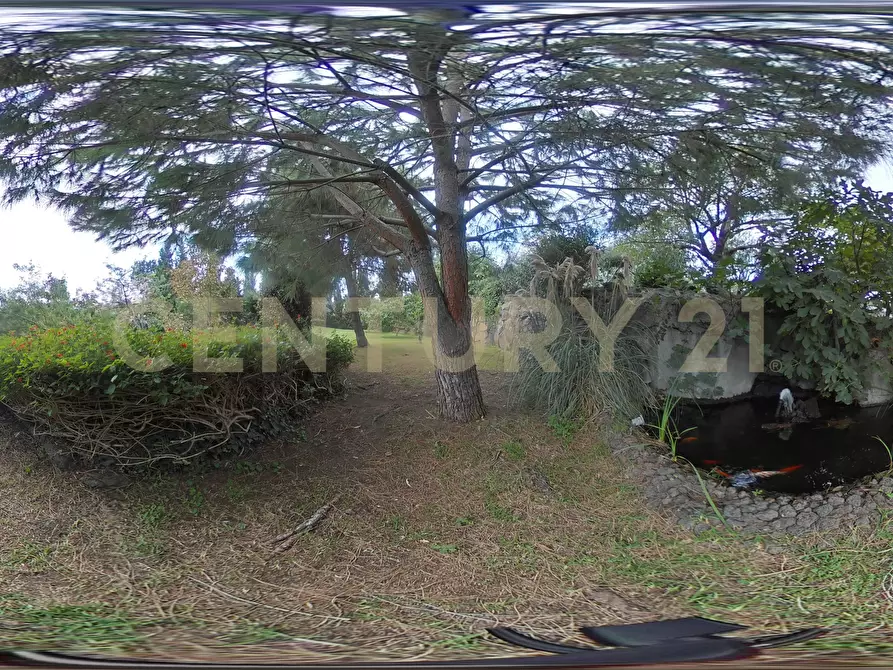 Immagine 46 di Villa in vendita  in Via Brinzio 20 a Aci Catena