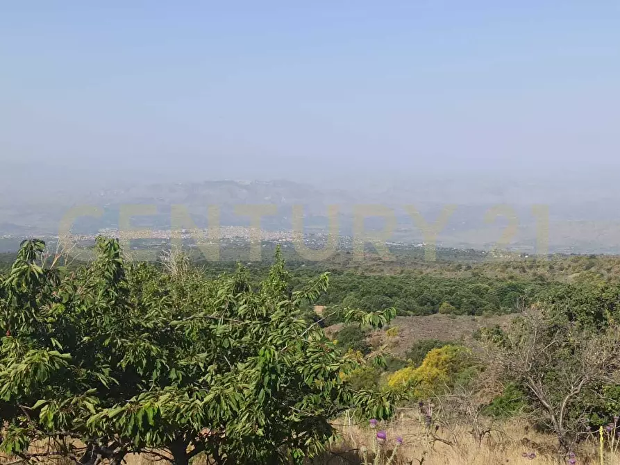 Immagine 40 di Terreno agricolo in vendita  in C.da Filiciusa a Biancavilla