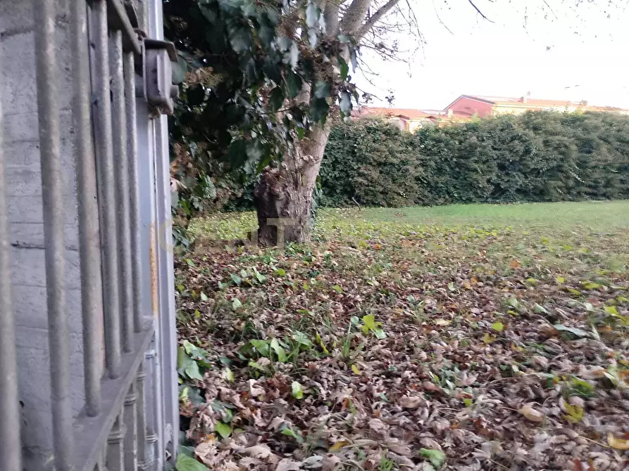 Immagine 3 di Terreno edificabile in vendita  in Via mantova snc a Cerea