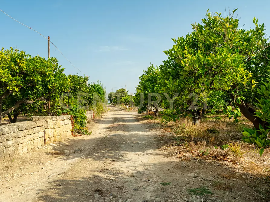 Immagine 2 di Terreno agricolo in vendita  in Strada Statale 194 a Carlentini