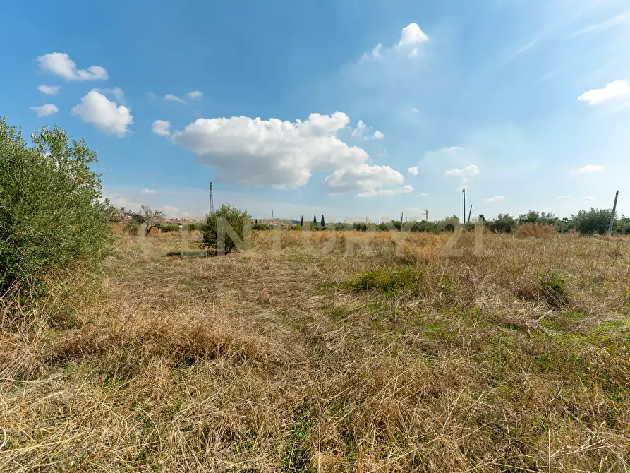 Immagine 5 di Terreno agricolo in vendita  in Via Margarone 5 a Motta Sant'anastasia