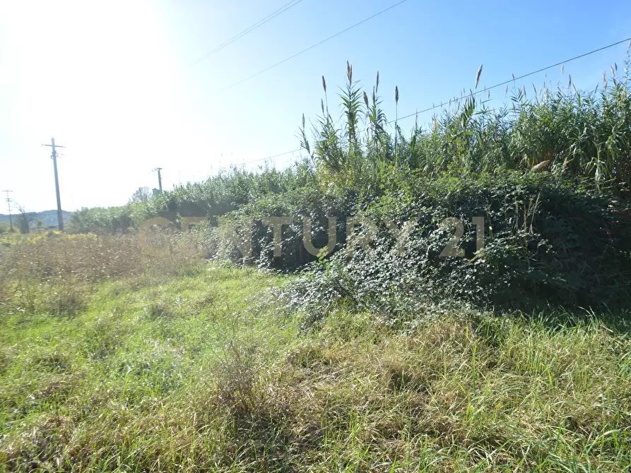 Immagine 12 di Rustico / casale in vendita  in Strada dell'Isolotto a Grosseto