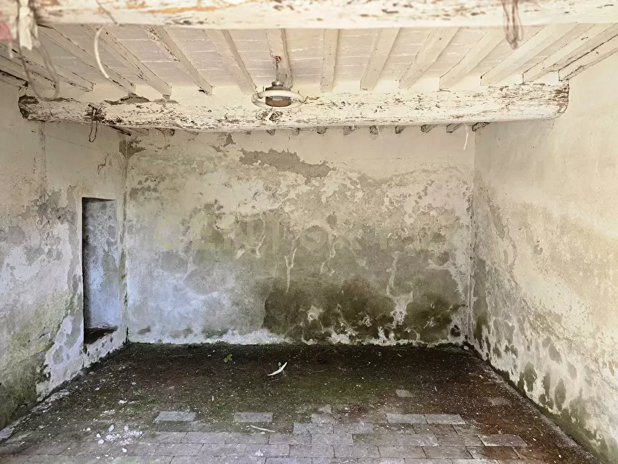 Immagine 15 di Rustico / casale in vendita  in LOCALITA CASETTE a Roccastrada