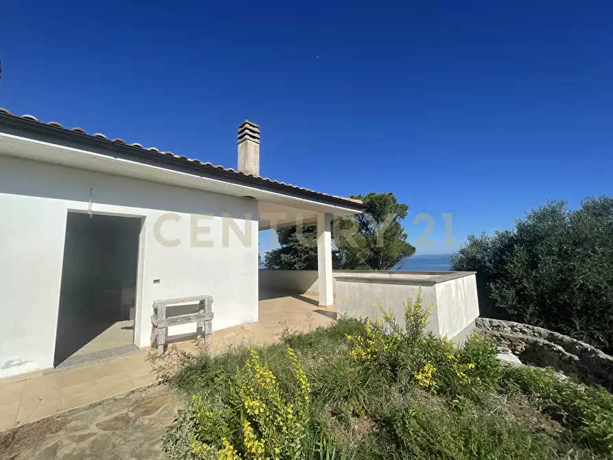 Immagine 5 di Villa in vendita  in località santa liberata a Monte Argentario