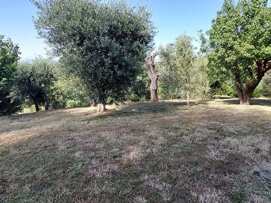 Immagine 19 di Casa indipendente in vendita  a Livorno