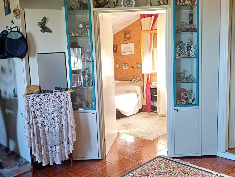 Immagine 17 di Casa bifamiliare in vendita  a Livorno
