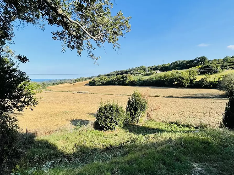 Immagine 4 di Rustico / casale in vendita  in san savino a Montecosaro