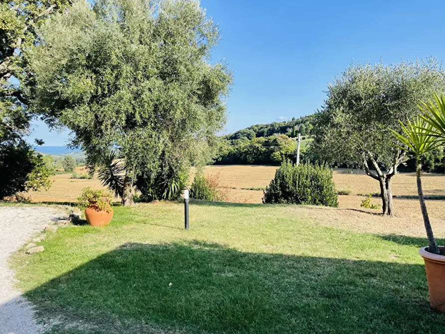 Immagine 14 di Rustico / casale in vendita  in san savino a Montecosaro