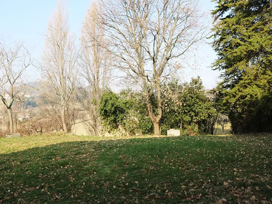 Immagine 14 di Rustico / casale in vendita  in Osimo a Osimo