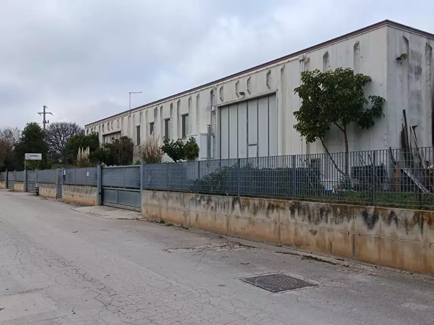 Immagine 3 di Attività artigianale in vendita  a Sirolo