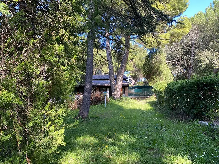 Immagine 28 di Rustico / casale in vendita  in Massignano a Ancona