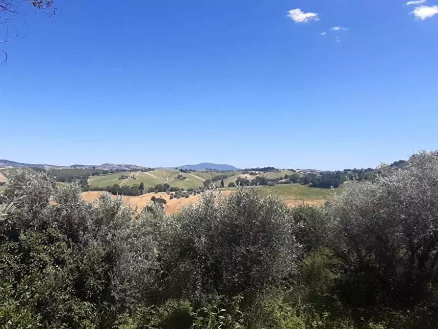 Immagine 8 di Rustico / casale in vendita  in Filottrano a Filottrano