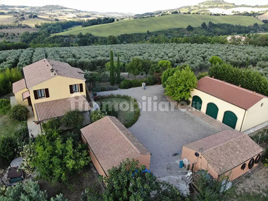 Immagine 13 di Rustico / casale in vendita  in morrovalle a Morrovalle