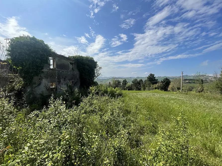 Immagine 5 di Rustico / casale in vendita  in Frazione Poggio a Ancona