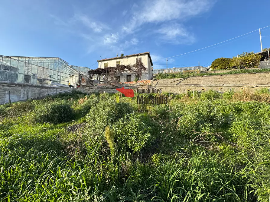 Immagine 4 di Casa indipendente in vendita  in Strada San Lorenzo 153 a San Remo
