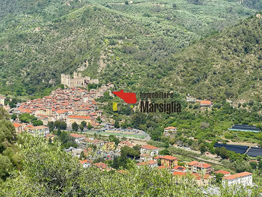 Immagine 38 di Villa in vendita  in Via Monsignore Tornatore a Dolceacqua