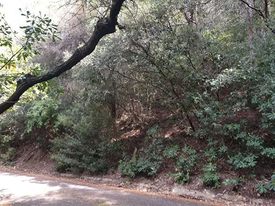 Immagine 5 di Rustico / casale in vendita  a Livorno