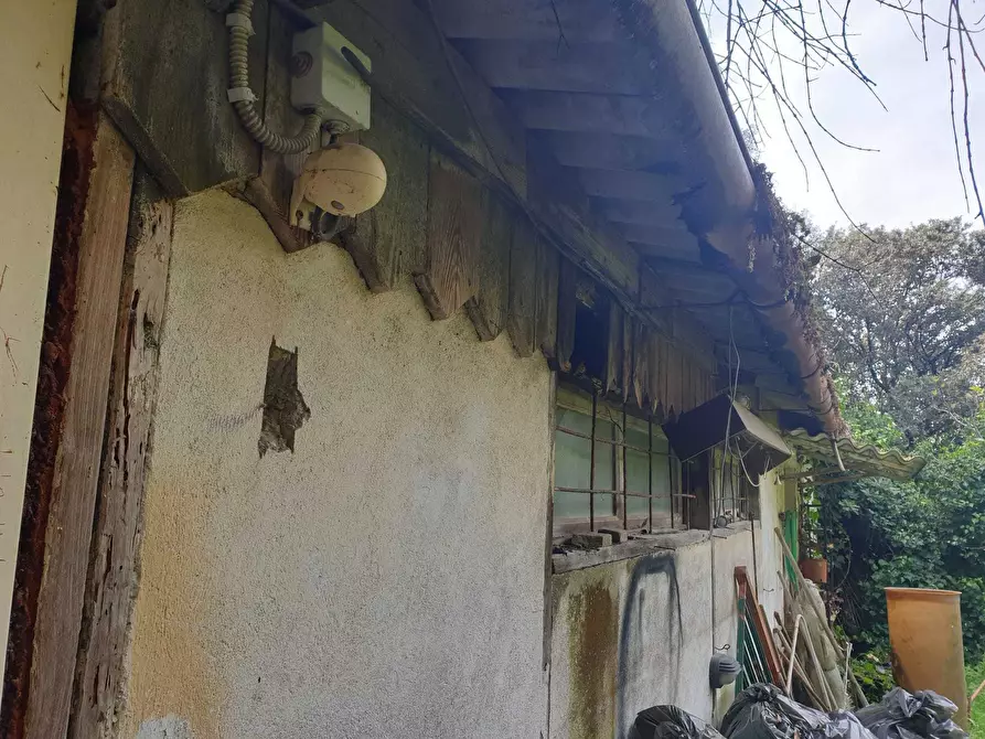 Immagine 7 di Rustico / casale in vendita  a Livorno