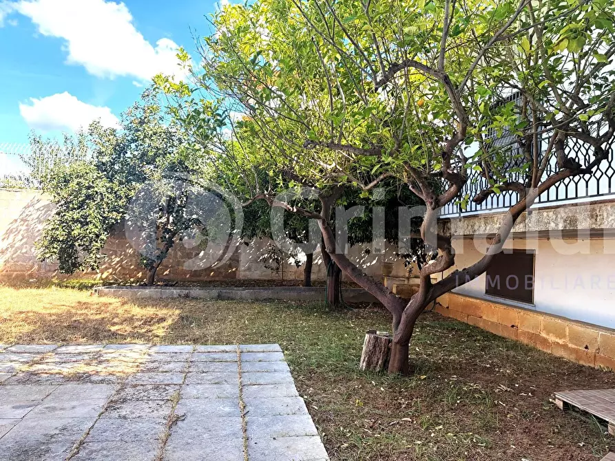 Immagine 34 di Casa indipendente in vendita  in via alcide de gasperi a Sannicola