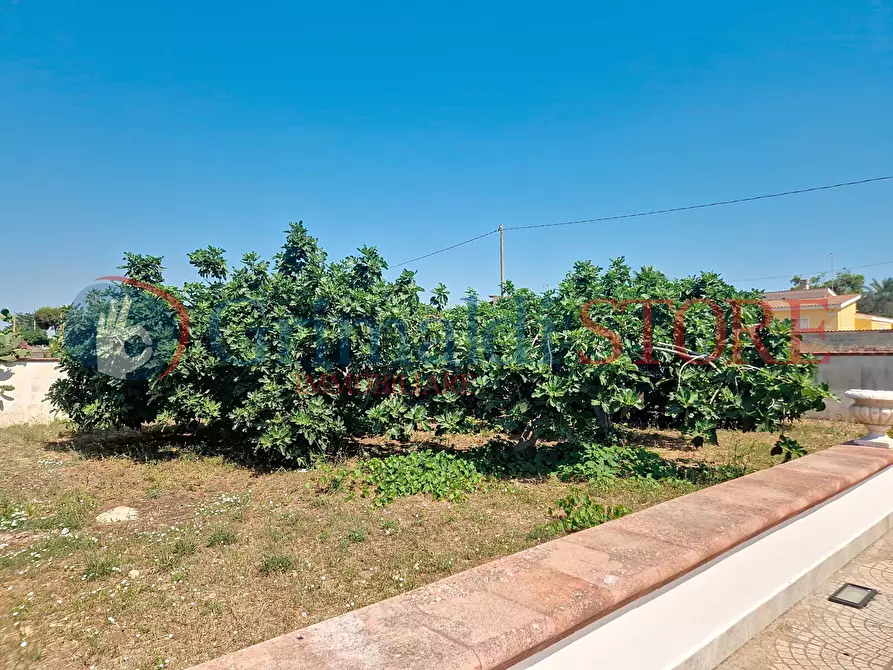 Immagine 17 di Villa in vendita  a Manduria