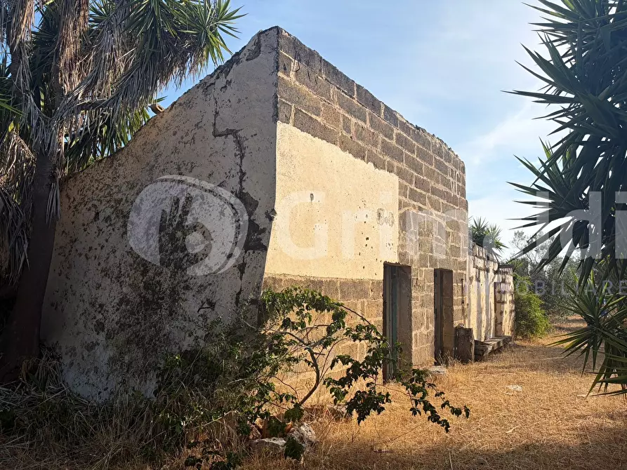 Immagine 7 di Terreno agricolo in vendita  in Contrada Coline a Alezio