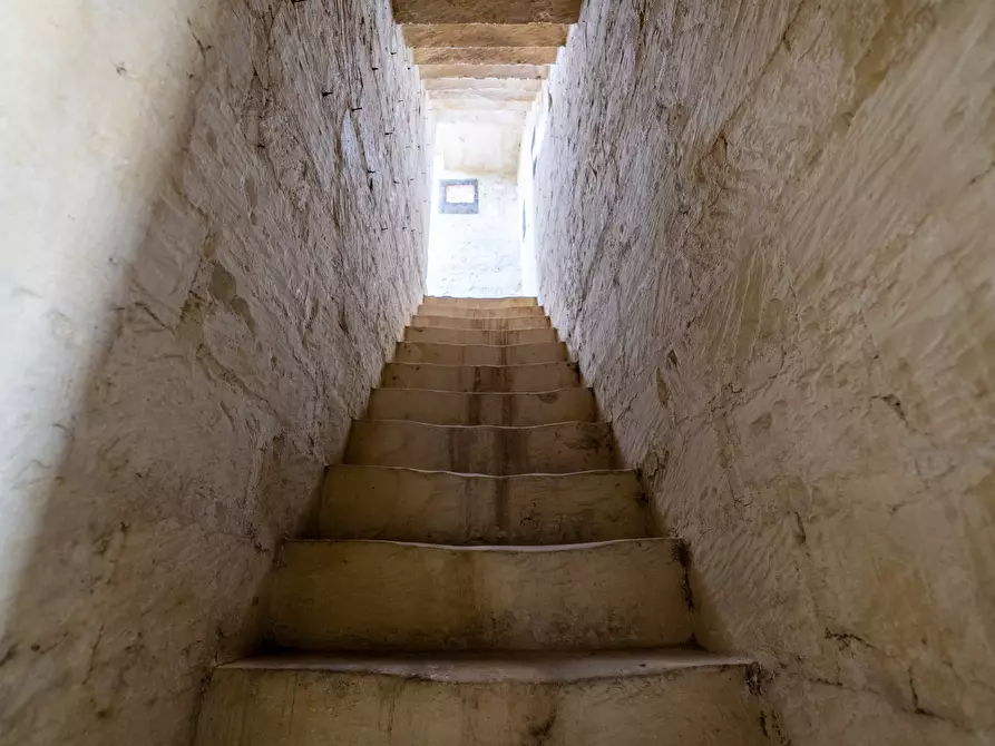 Immagine 76 di Casa indipendente in vendita  in Via Vittorio Emanuele II 14 a San Cesario Di Lecce