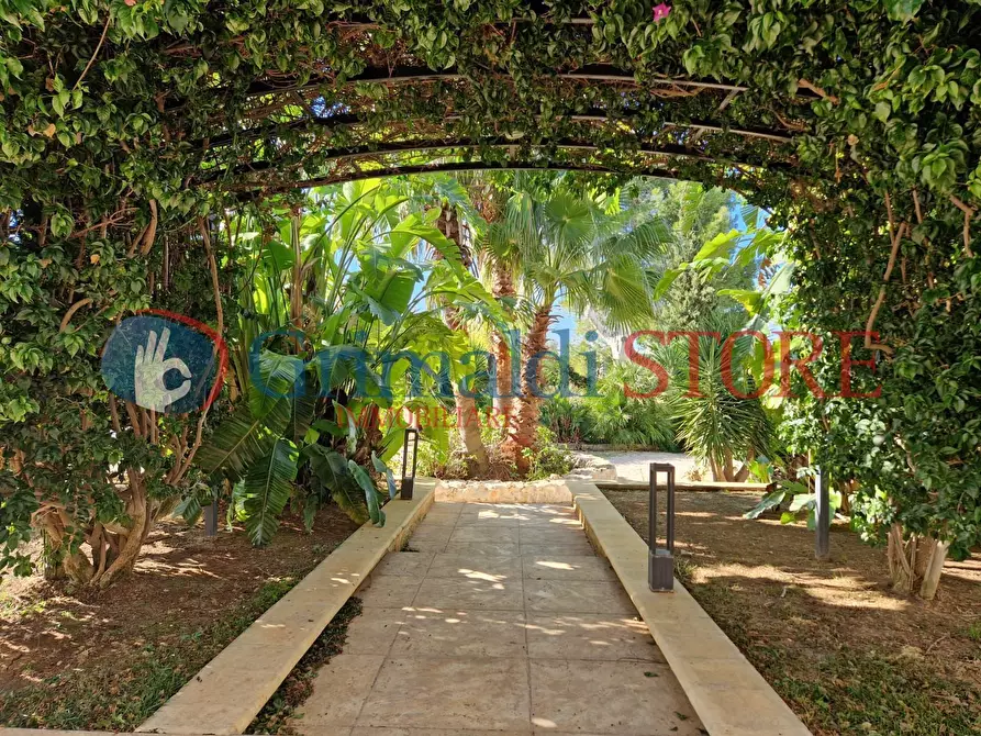 Immagine 43 di Casa indipendente in vendita  a Francavilla Fontana