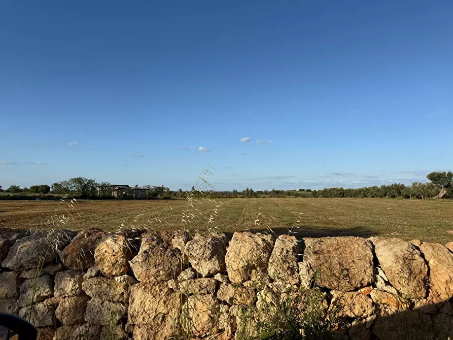 Immagine 16 di Terreno agricolo in vendita  in Contrada Cerasina a Fasano