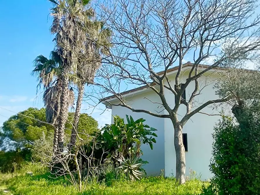 Immagine 3 di Villa in vendita  in strada provinciale 39 a Maglie