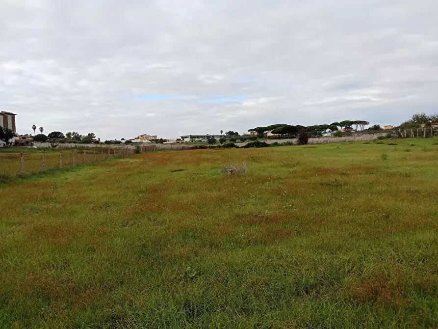 Immagine 3 di Terreno agricolo in vendita  in Via del Pino a Nettuno