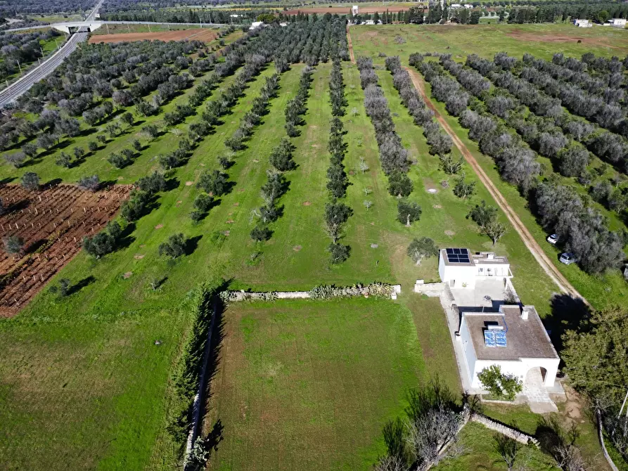 Immagine 62 di Villa in vendita  in Contrada Montestazzo 1 a Carovigno