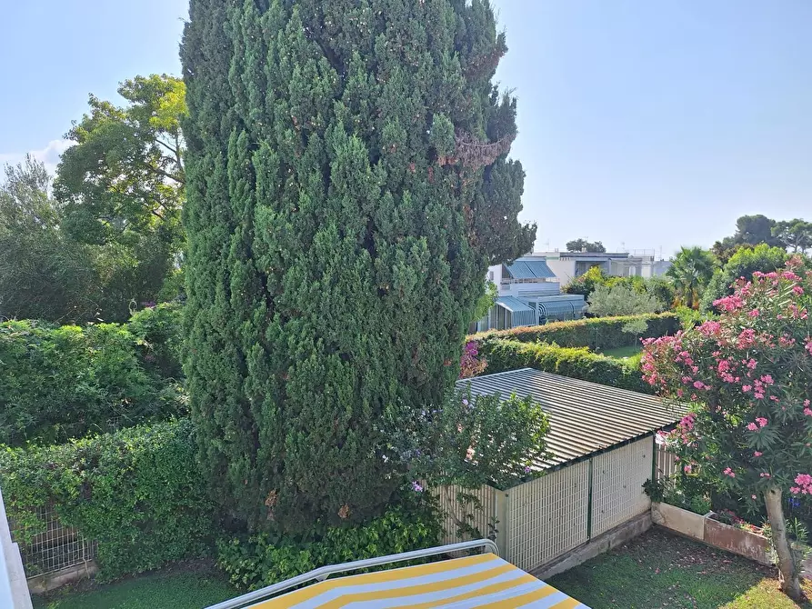 Immagine 11 di Casa indipendente in affitto  in Via Zaccaria Negroni 3 a Nettuno