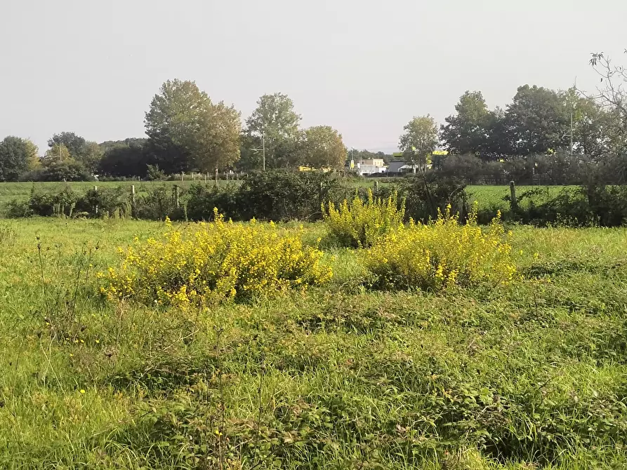 Immagine 3 di Terreno agricolo in vendita  in Via Lago di Sirino a Nettuno