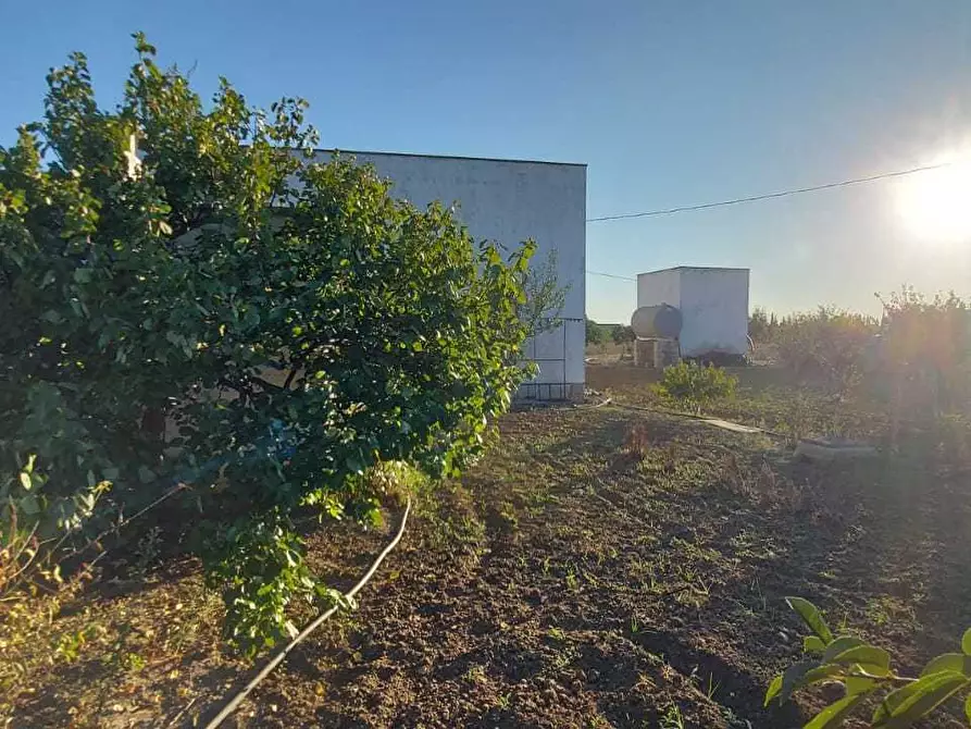 Immagine 10 di Villa in vendita  in Contrada Palmarini a Brindisi