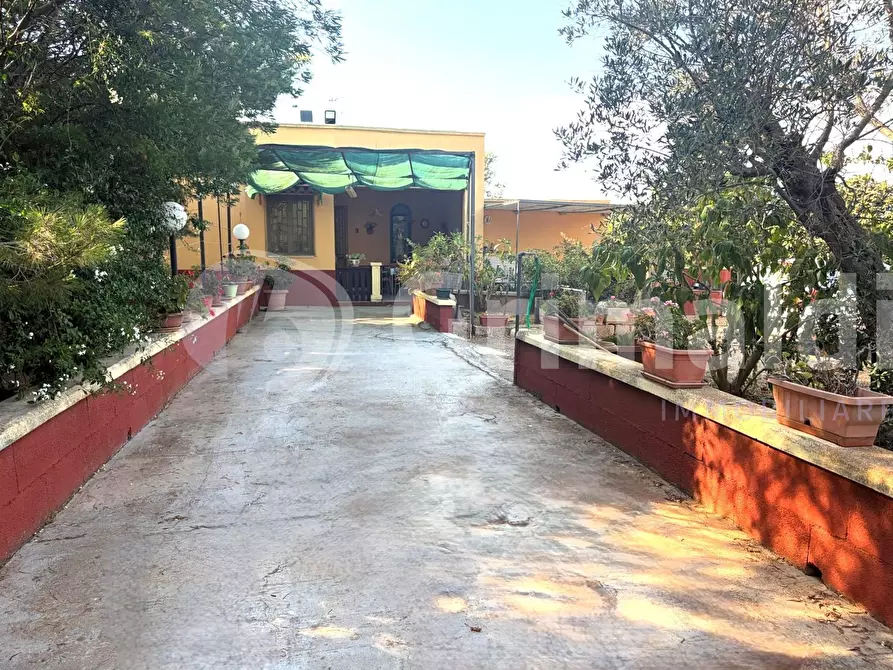 Immagine 1 di Casa indipendente in vendita  in Contrada Curlo a Sannicola