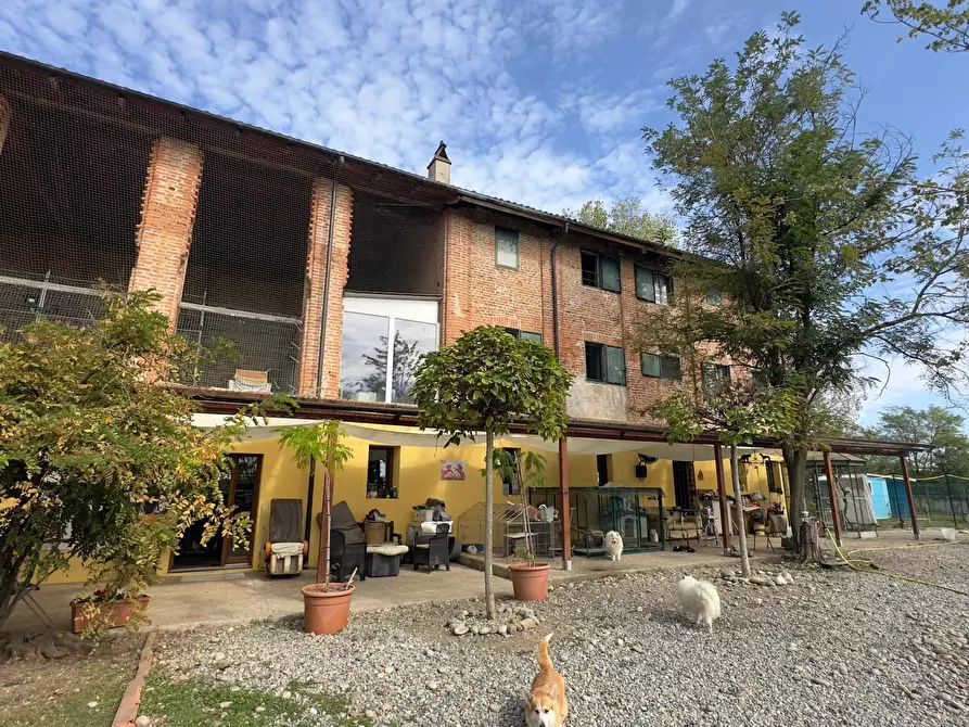 Immagine 3 di Rustico / casale in vendita  in via umberto 1 a Greggio