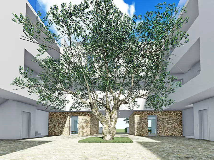 Immagine 50 di Trilocale in vendita  in Via Ugo Foscolo 34 a Castrignano Del Capo