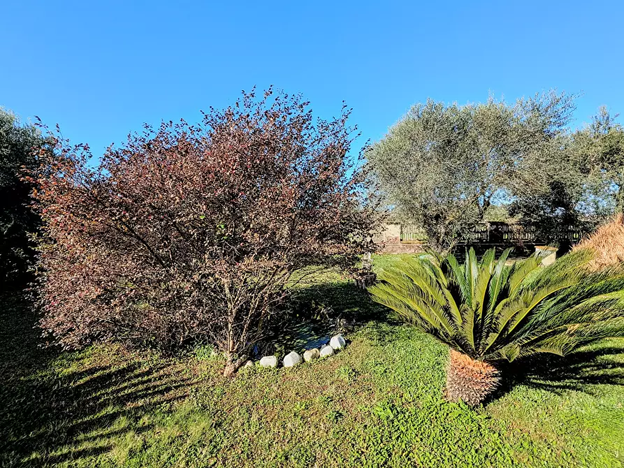 Immagine 16 di Villa in vendita  in Via Granieri 56 a Nettuno