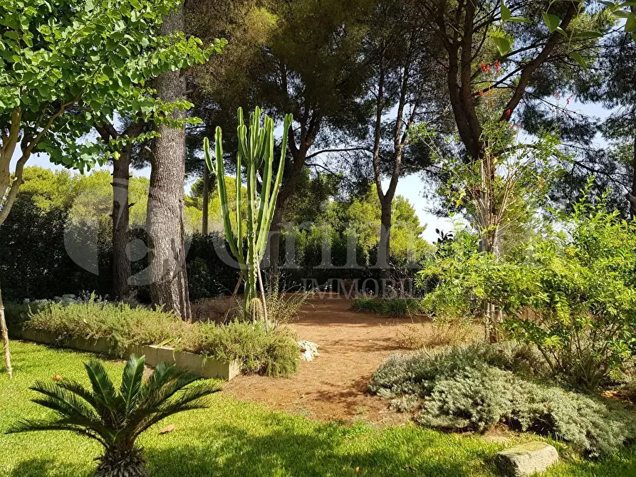 Immagine 36 di Casa indipendente in vendita  in corso cesare vergine a Tuglie