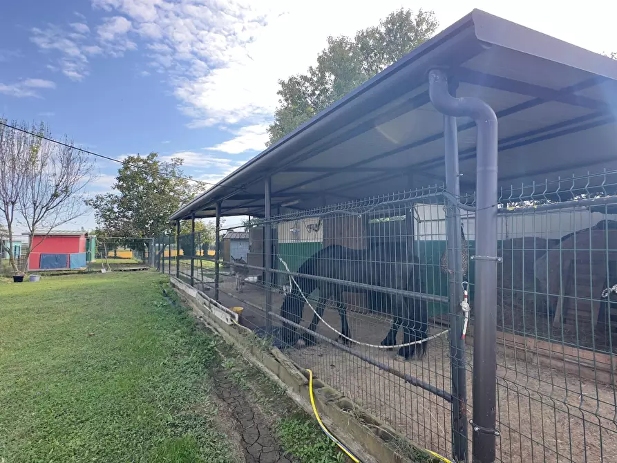 Immagine 7 di Rustico / casale in vendita  in via umberto 1 a Greggio