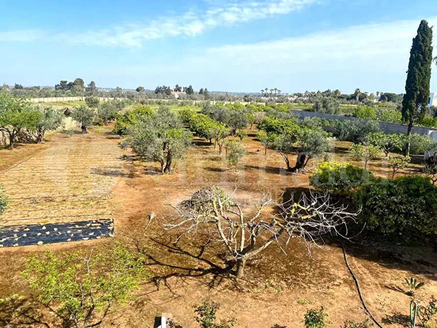 Immagine 3 di Villa in vendita  in strada provinciale 361 a Gallipoli