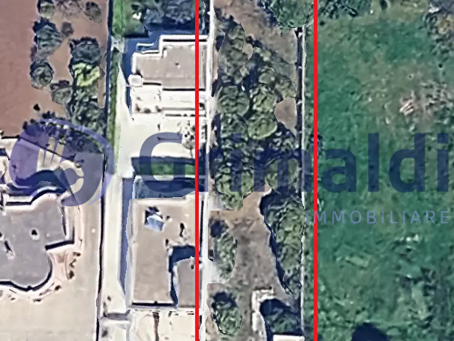 Immagine 7 di Terreno agricolo in vendita  in Via Santa Lucia 44 a Scorrano