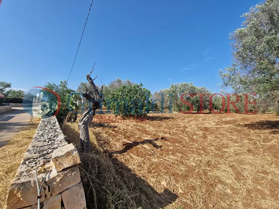 Immagine 7 di Terreno agricolo in vendita  a Latiano