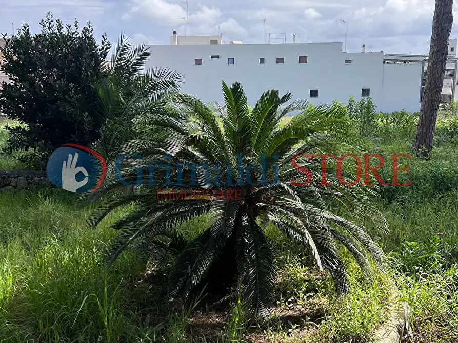 Immagine 12 di Villa in vendita  in Via Santa Maria di Leuca 1 a Ruffano