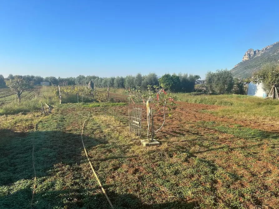 Immagine 2 di Terreno agricolo in vendita  a Terracina