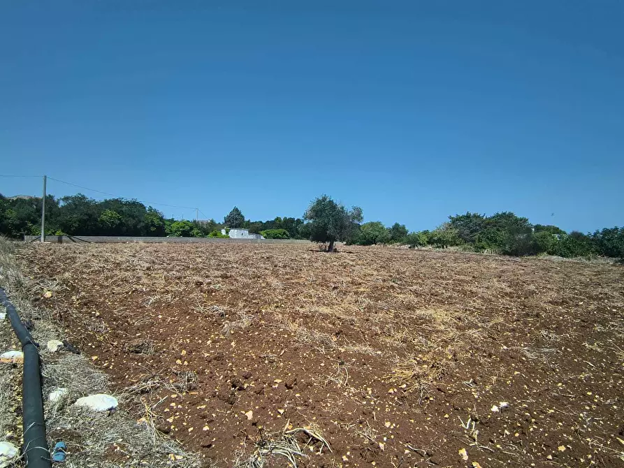 Immagine 7 di Rustico / casale in vendita  in Contrada Marinesca a Polignano A Mare