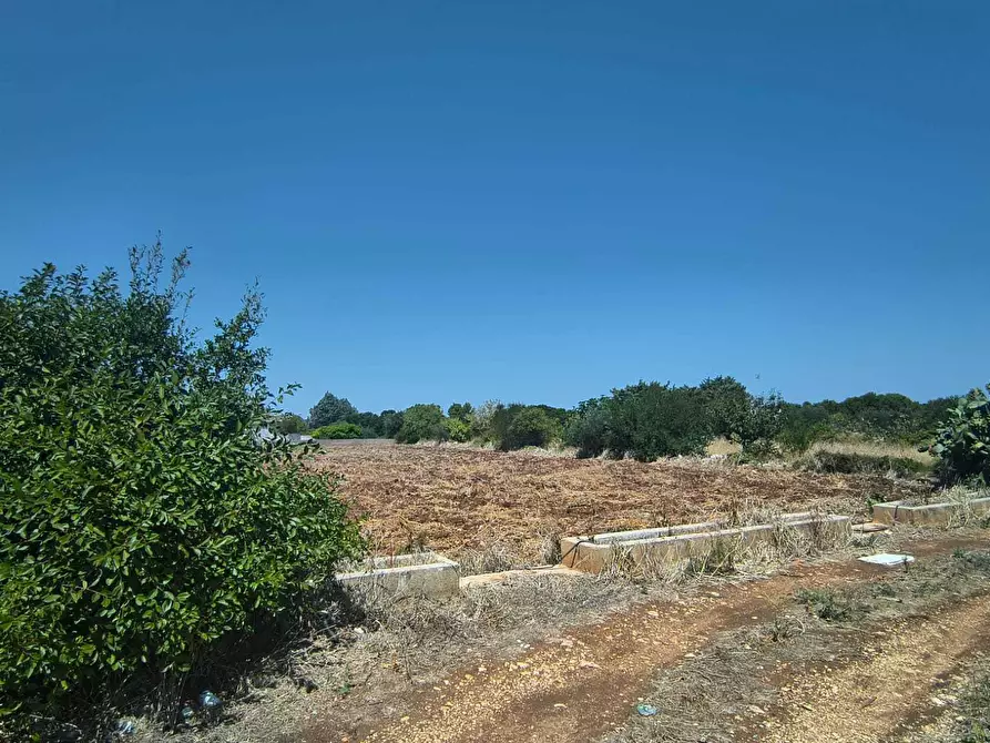 Immagine 4 di Rustico / casale in vendita  in Contrada Marinesca a Polignano A Mare